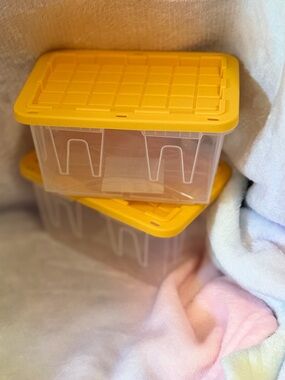 Lowes Teeny Totes
